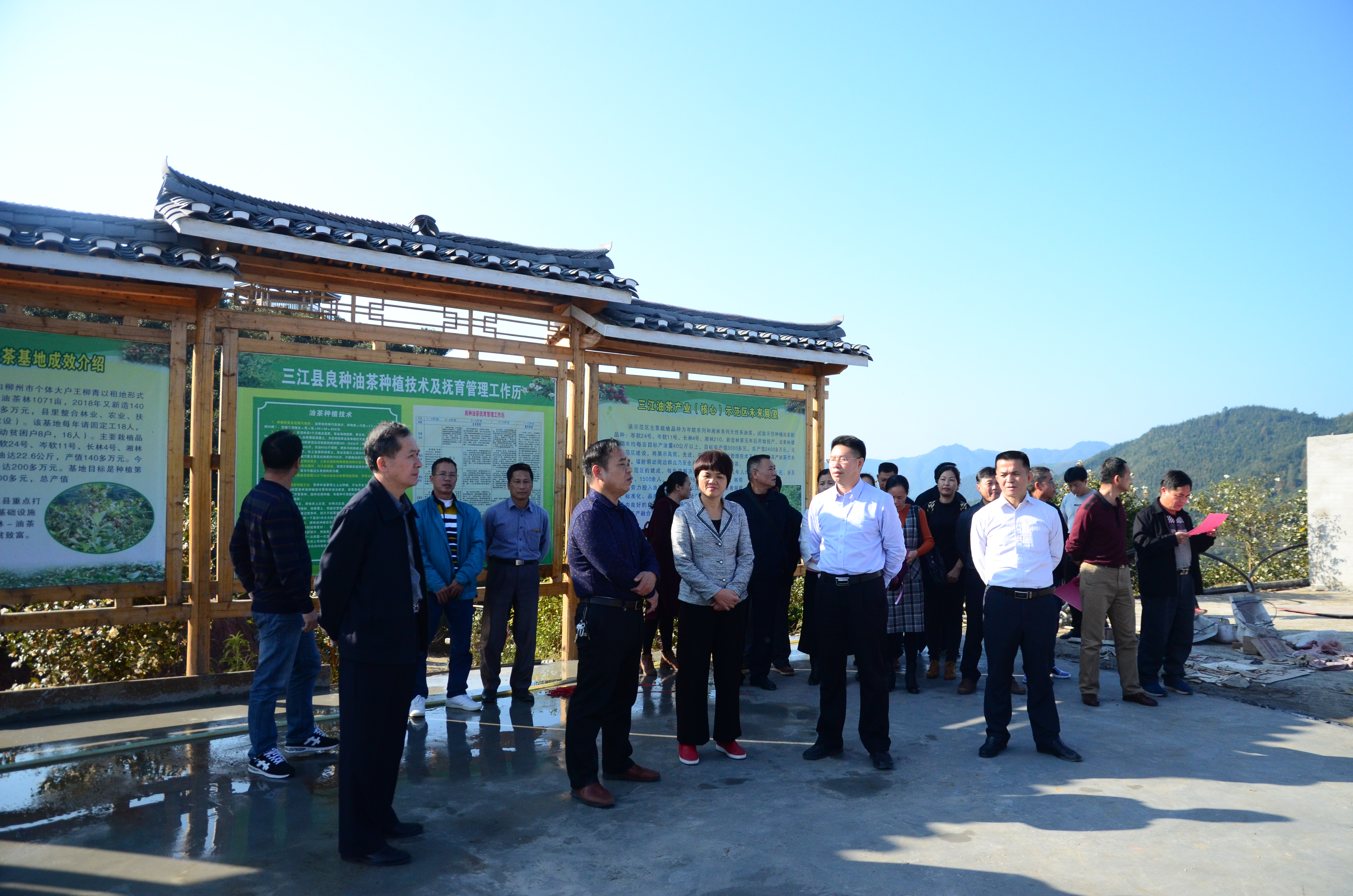 三江斗江宇塘良种油茶示范基地 (1).JPG
