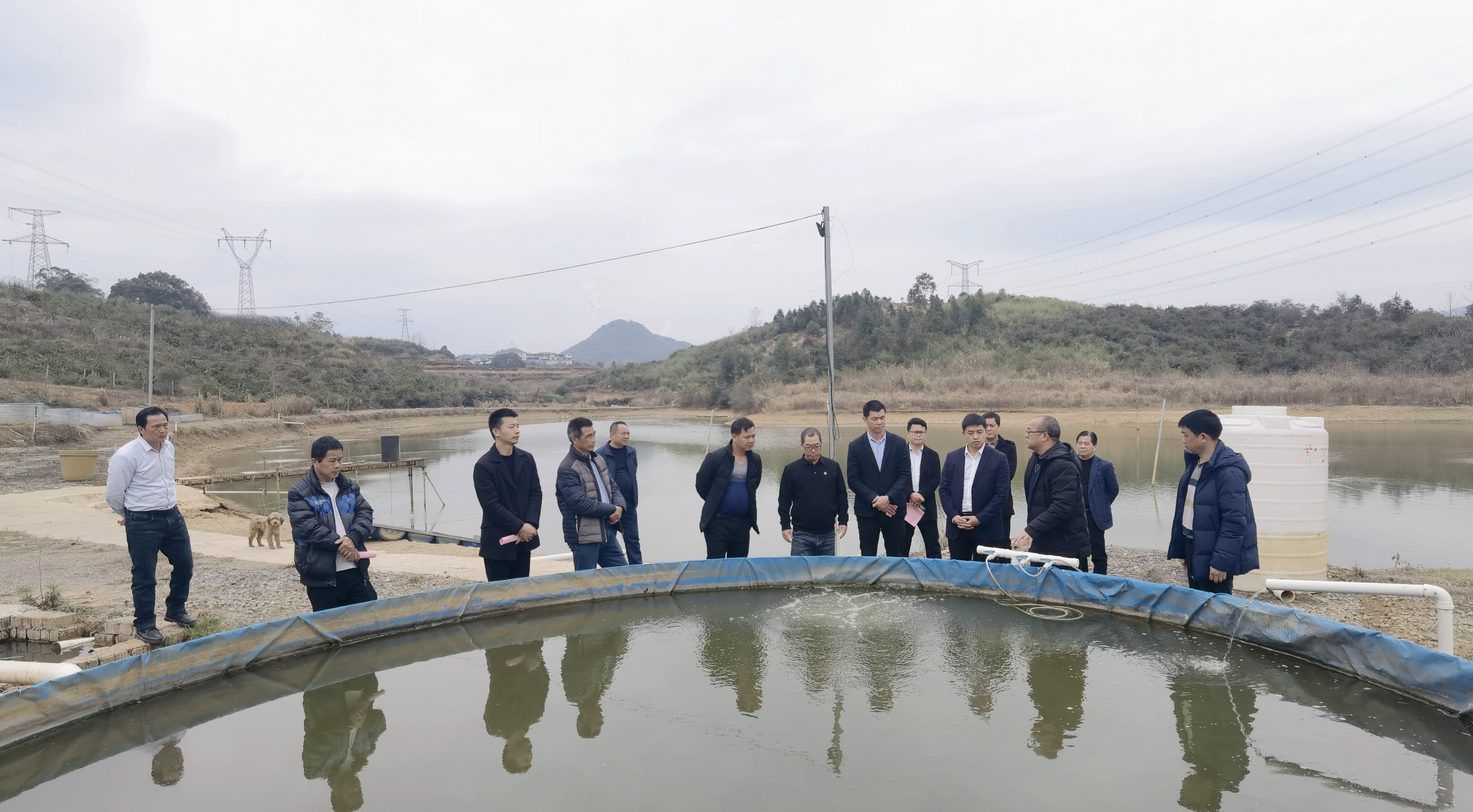 图为镇人大代表在富川瑶族自治县白沙镇鱼尾永旭渔业养殖基地调研特色养殖产业.jpg