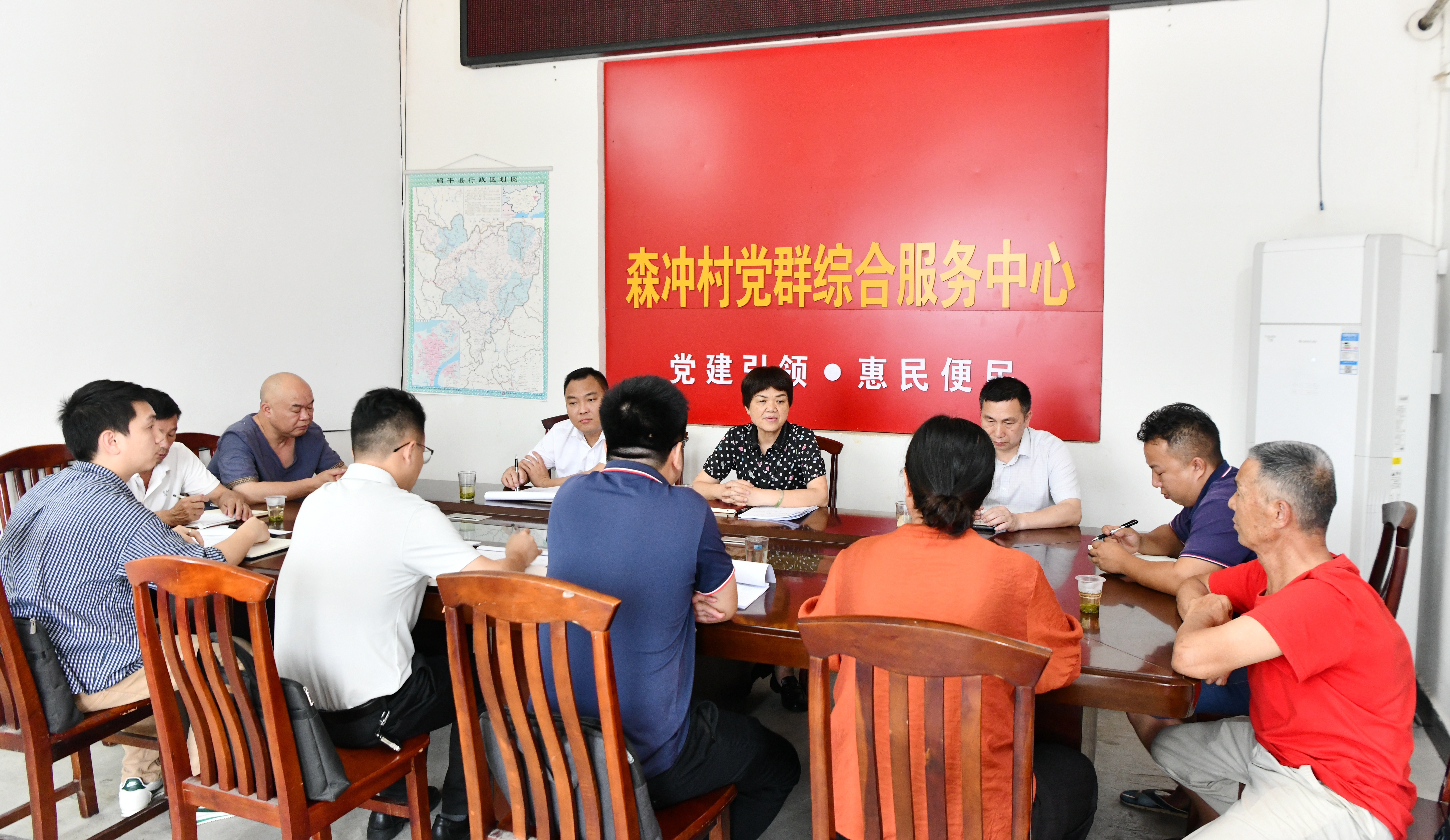 吴伟红到走马镇调研指导2026年村（社区）“两委”换届准备工作